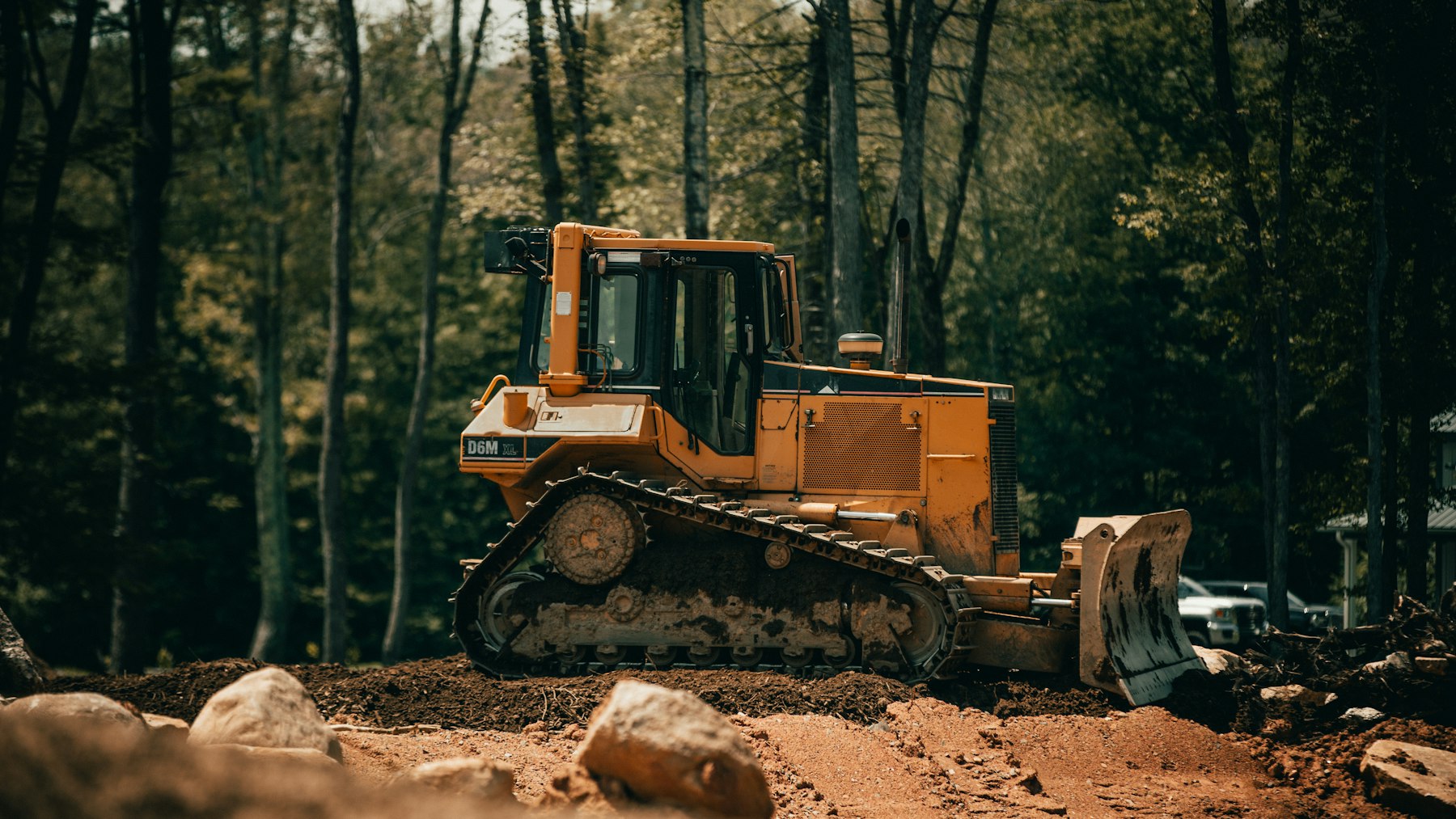 Bulldozer on a forest job site